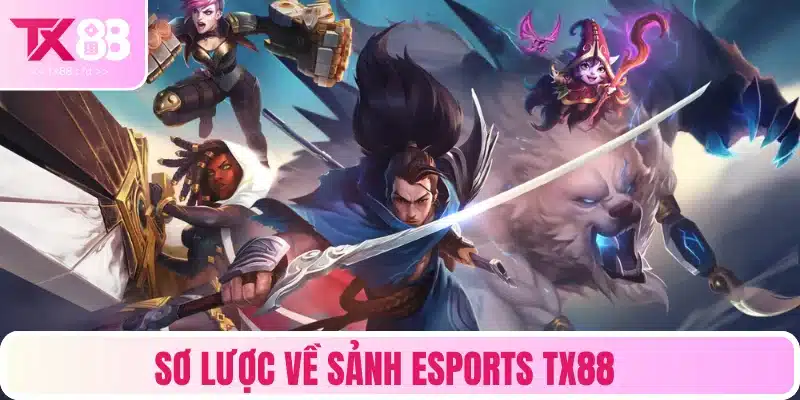 Tìm hiểu sảnh chơi esports có gì thú vị?