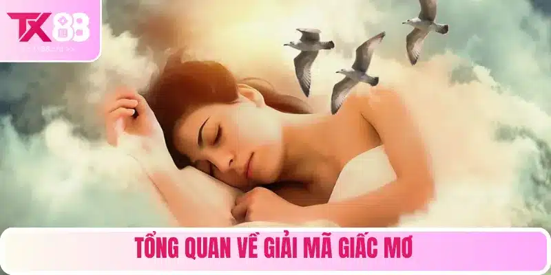 Giải mã giấc mơ chưa bao giờ khiến bạn nhàm chán