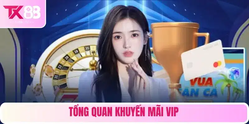 Khuyến mãi VIP là chương trình được chào đón nhất 2025